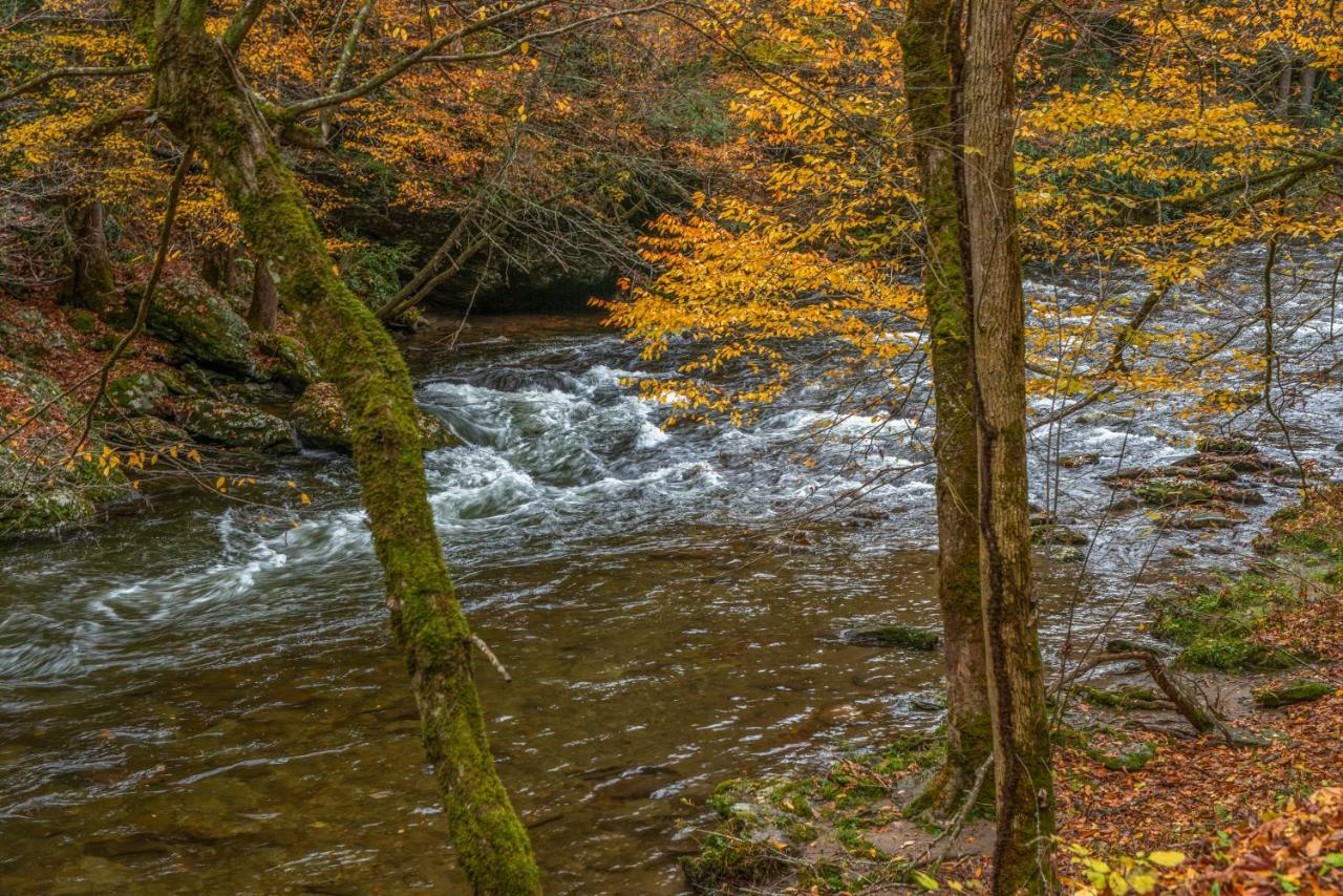 Fox Hollow